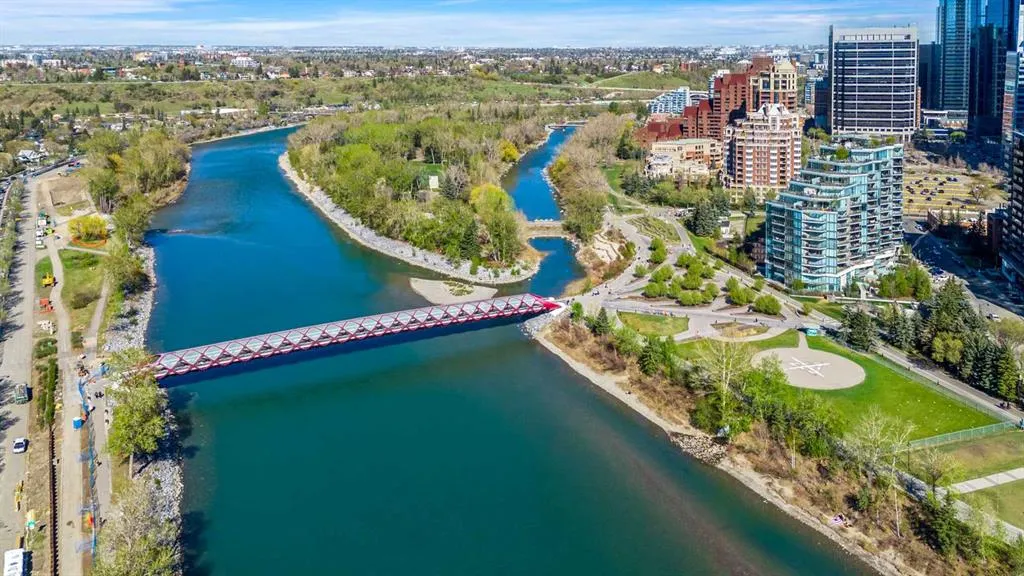 910 5 Avenue SW, #1106