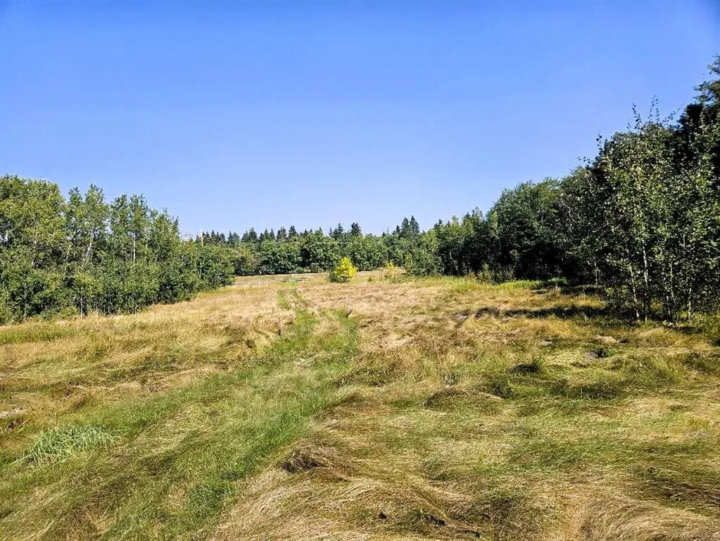 262065 Twp RD 422, #8