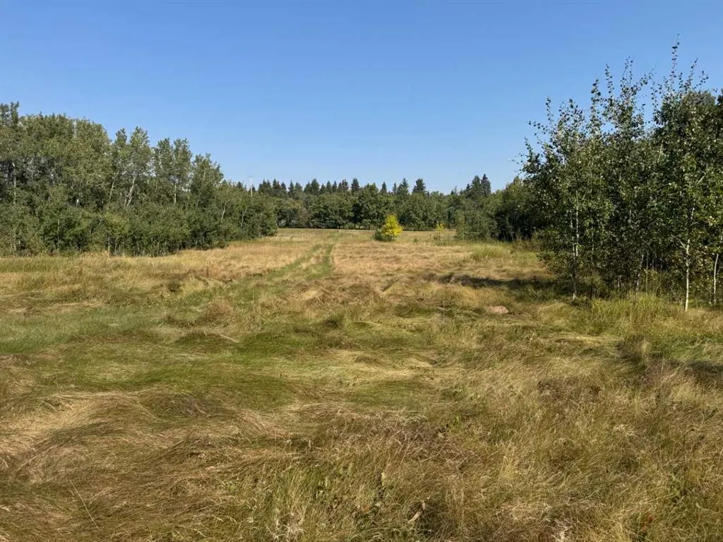 262065 Twp RD 422, #8