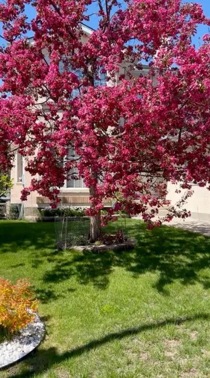 102 Hampstead Close NW