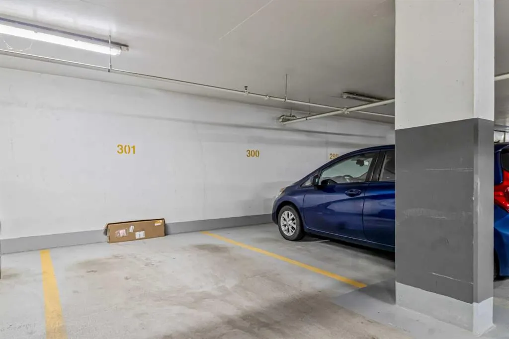 510 6 Avenue SE, #314