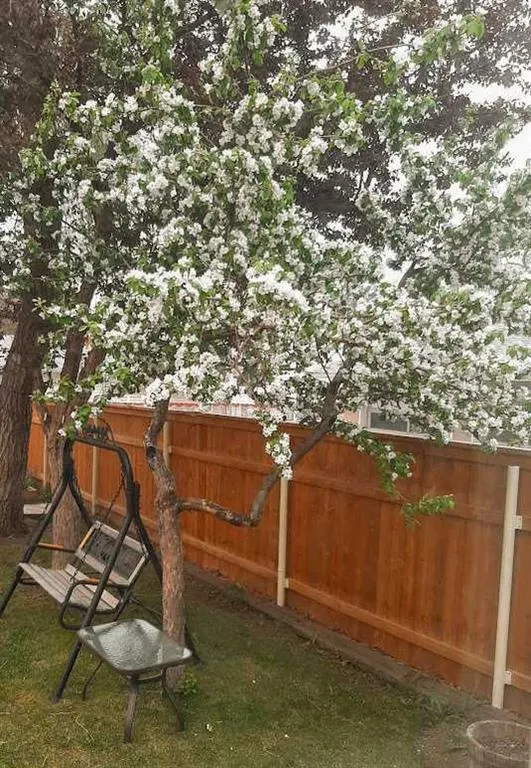 1989 Cottonwood Crescent SE