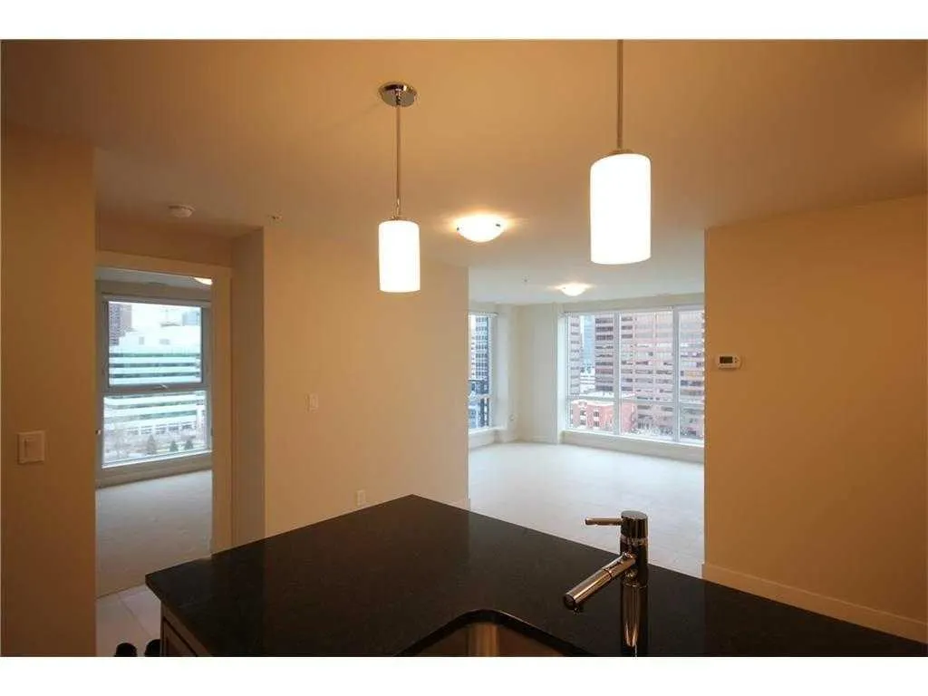 303 13 Avenue SW, #1102