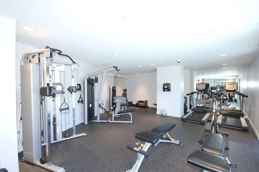 303 13 Avenue SW, #1102