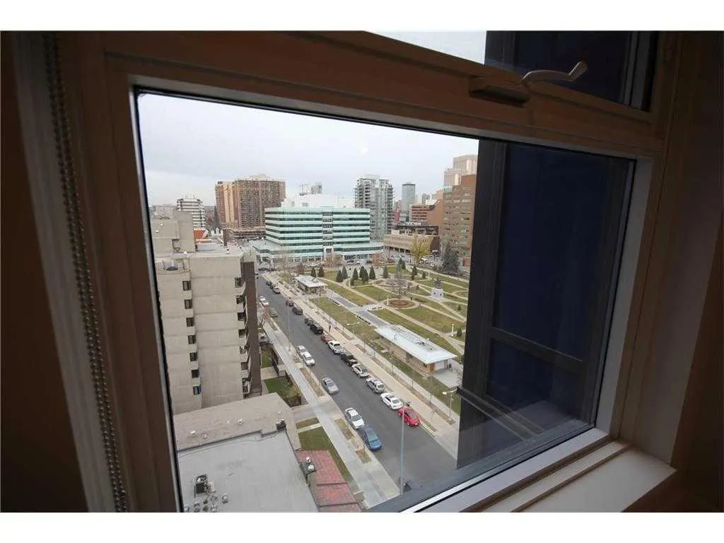 303 13 Avenue SW, #1102