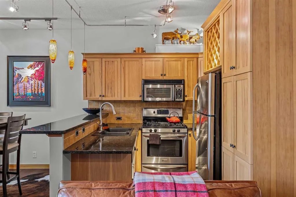 70 Dyrgas Gate, #1103