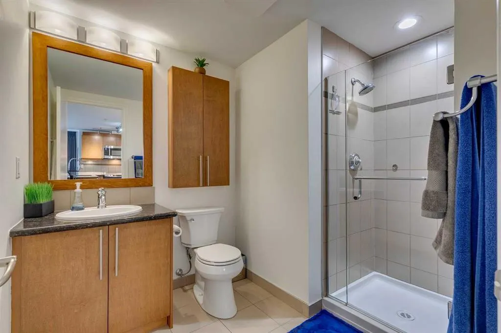 817 15 Avenue SW, #207