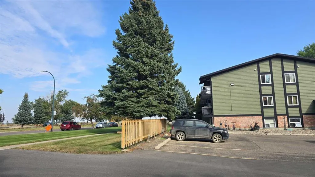 4200 Forestry Avenue S, #208