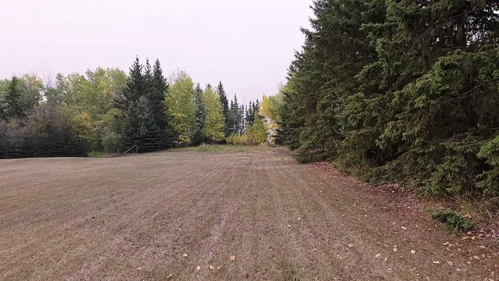 81404 rr223