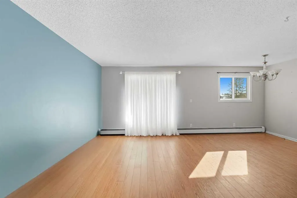 25 Robinson Avenue, #205