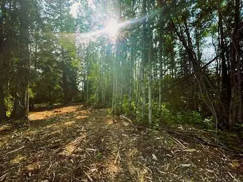 931 Wolf Trail