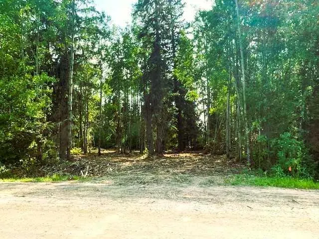 931 Wolf Trail