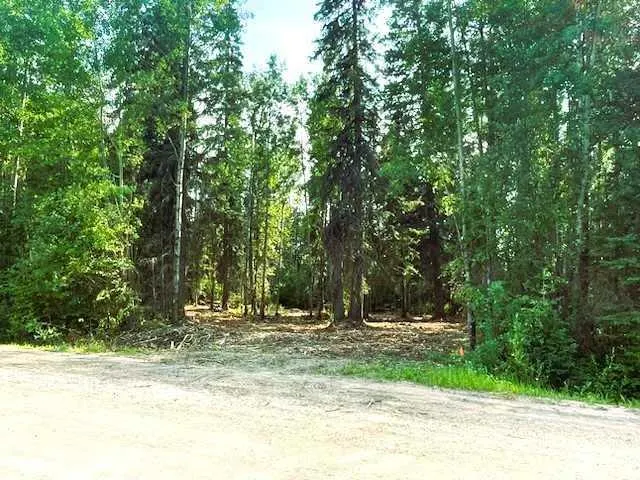 931 Wolf Trail