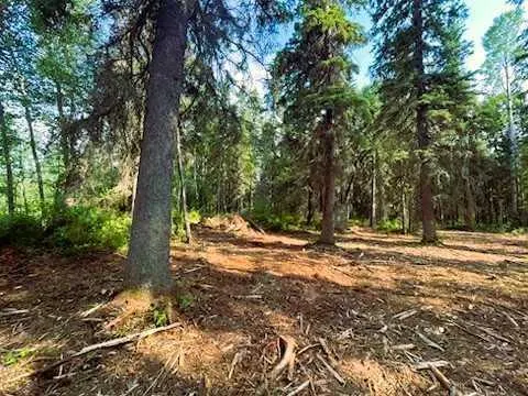 931 Wolf Trail