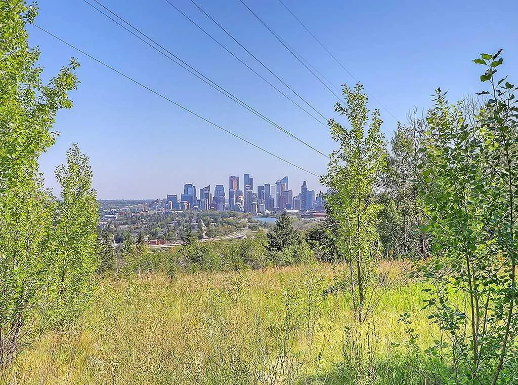 332 Cedar Crescent SW, #302