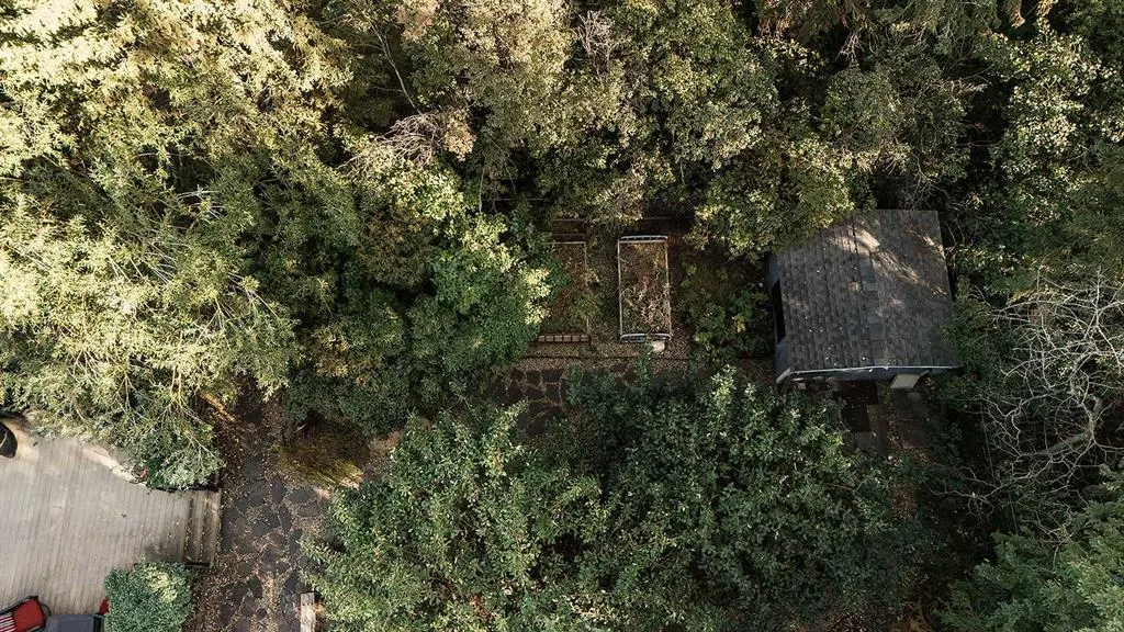 65 Pamely Avenue