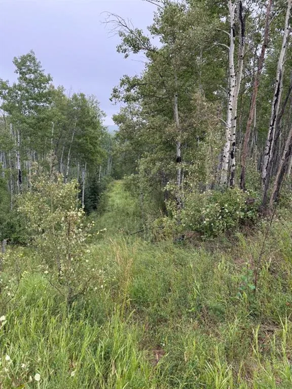 SE 2 74 20 W5 RR Farm