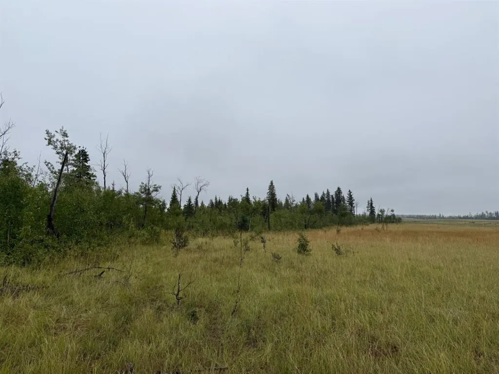 SE 2 74 20 W5 RR Farm