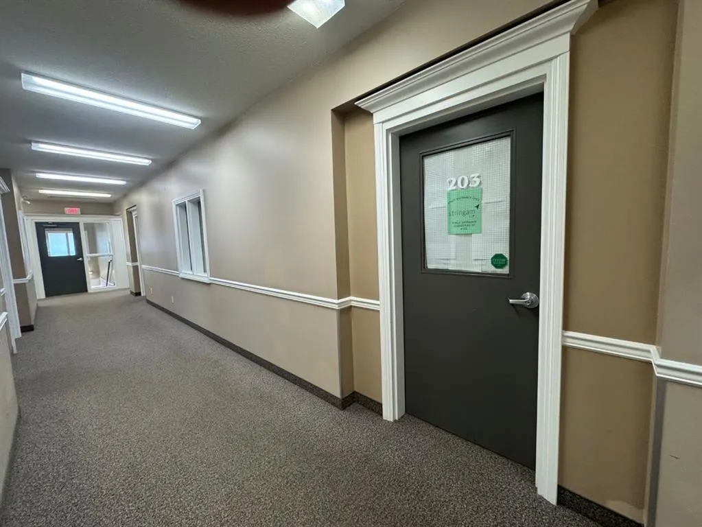 10126 97 Avenue, ##201, 202, & 203