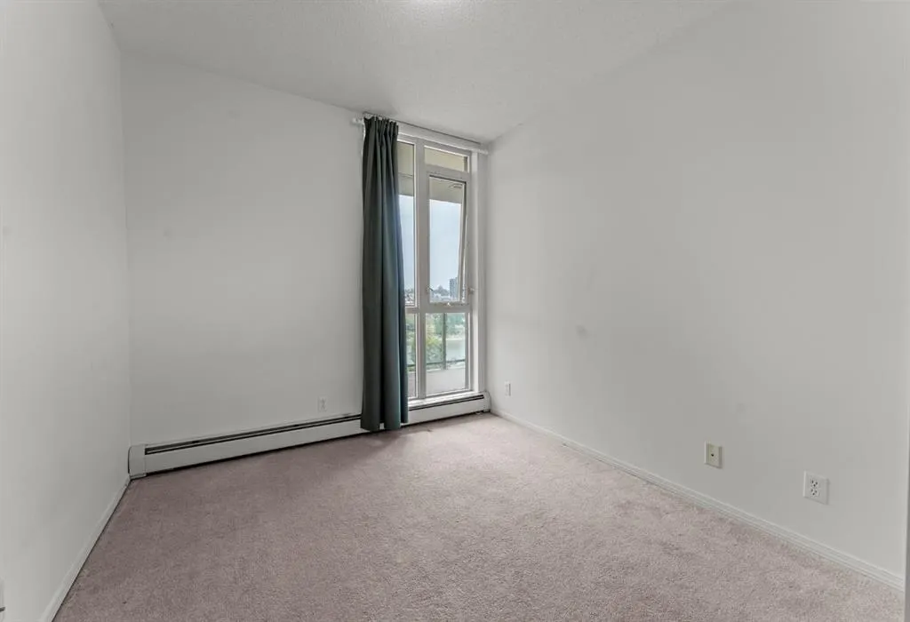 315 3 Street SE, #509