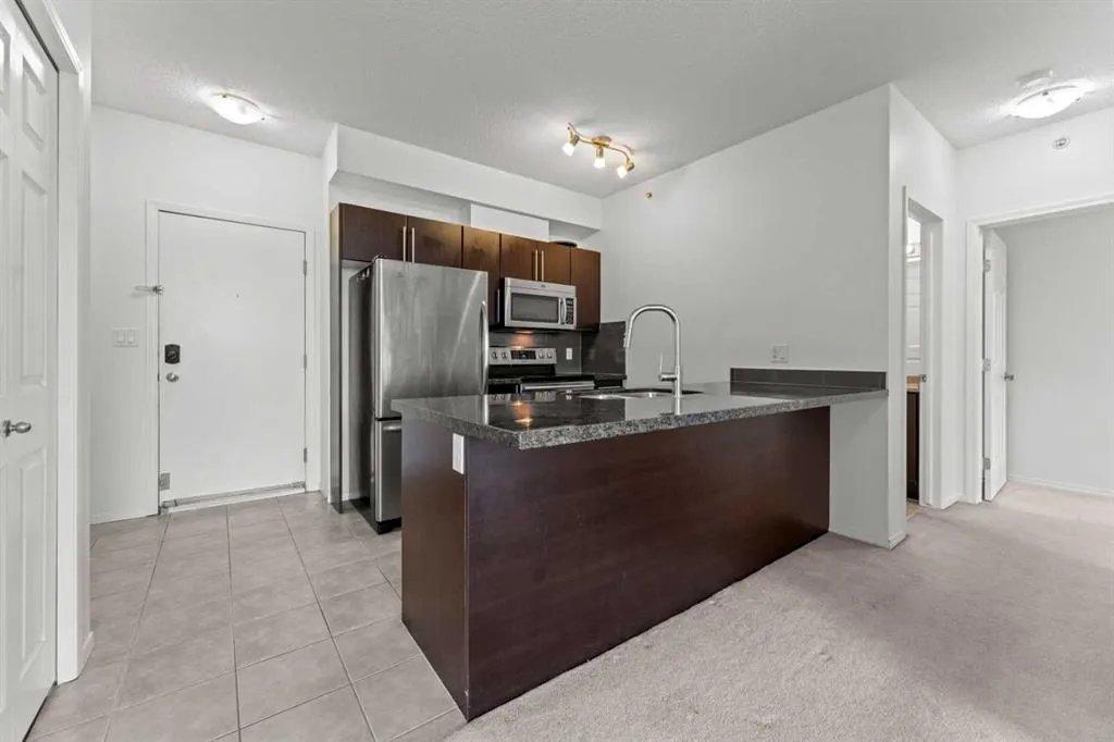 315 3 Street SE, #509