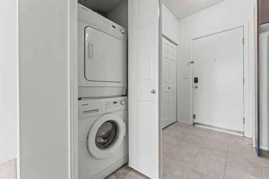 315 3 Street SE, #509