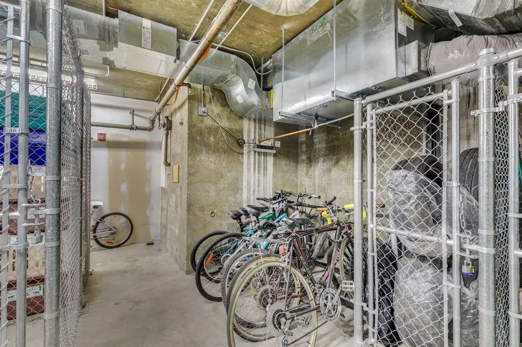 733 14 Avenue SW, #302