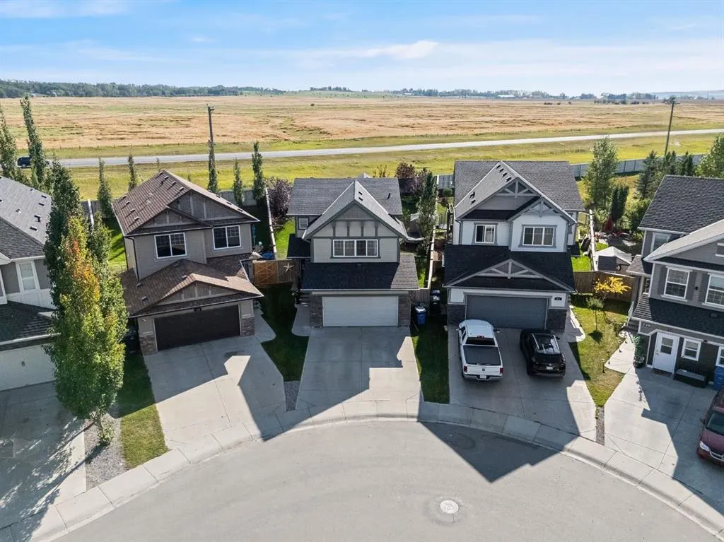 233 Cimarron Vista Way