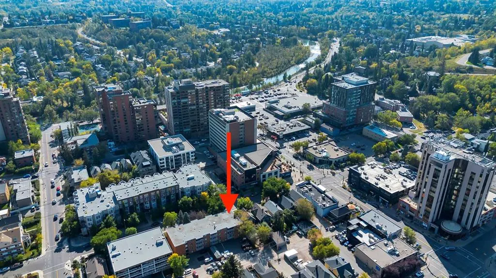 320 24 Avenue SW, #401