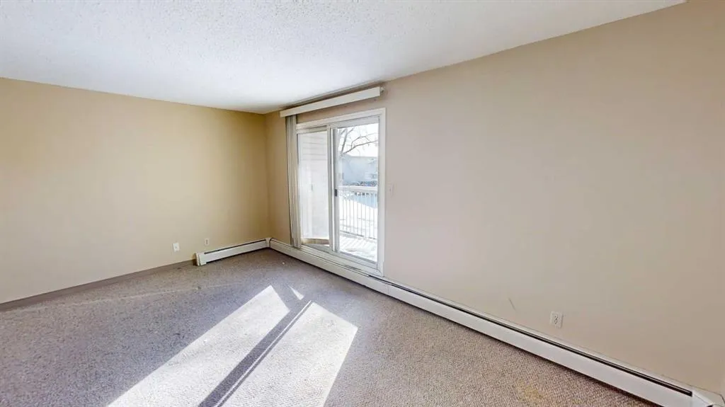 10028 105 Avenue, #7
