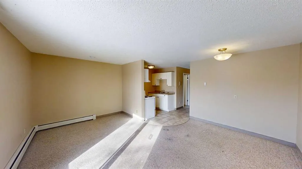 10028 105 Avenue, #7
