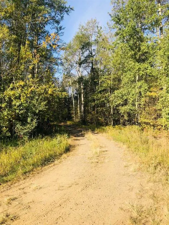 110218 Range Road 181