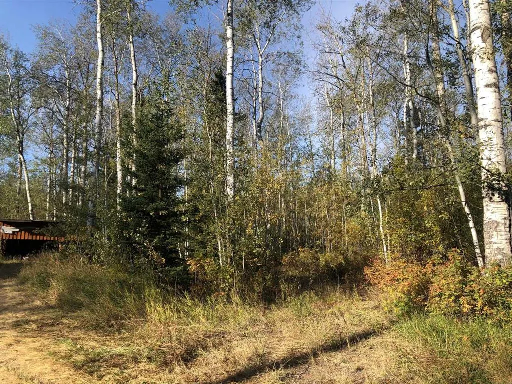 110218 Range Road 181