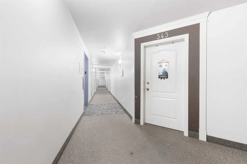 333 RIVERFRONT Avenue SE, #343