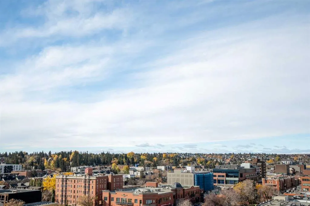 1501 6th Street SW, #1102