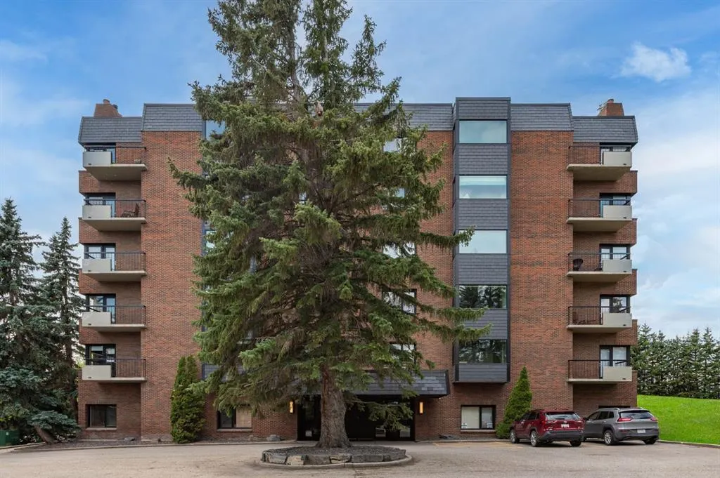 222 Eagle Ridge Drive SW, #4N
