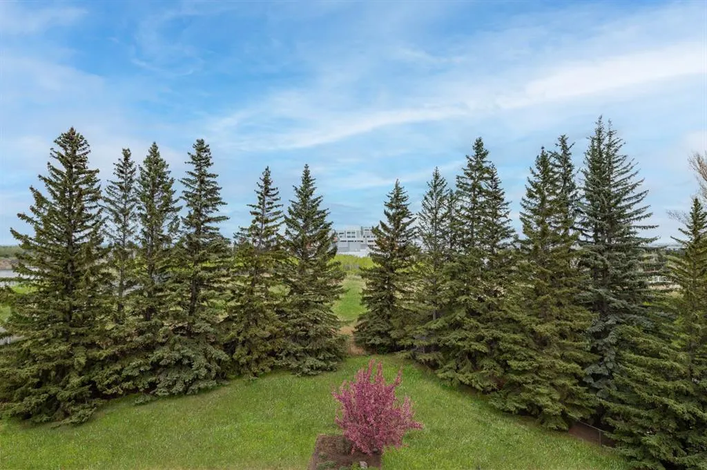 222 Eagle Ridge Drive SW, #4N