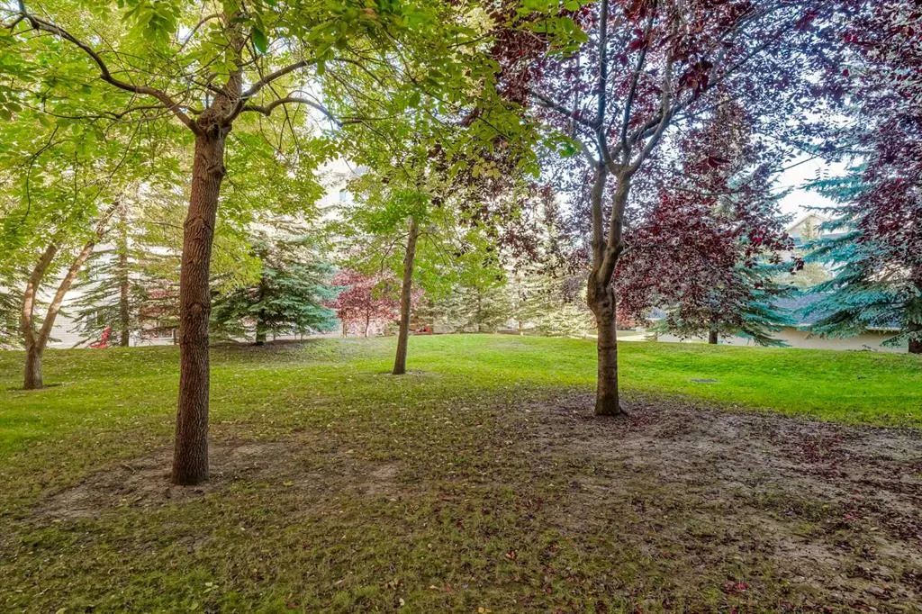 6000 Somervale Court SW, #6118