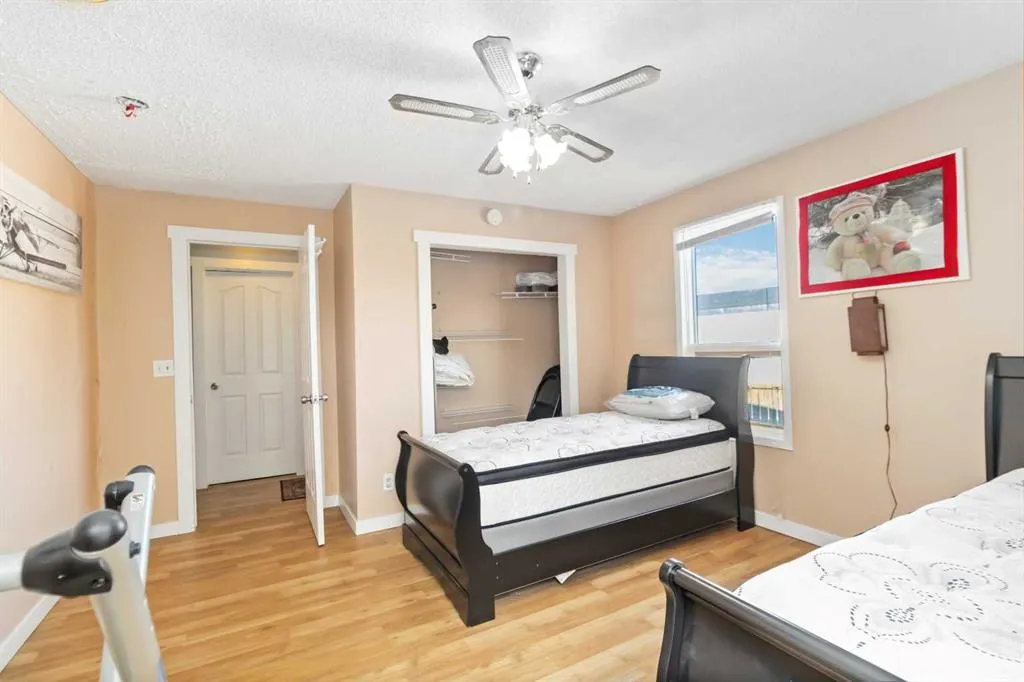 245 Card Court