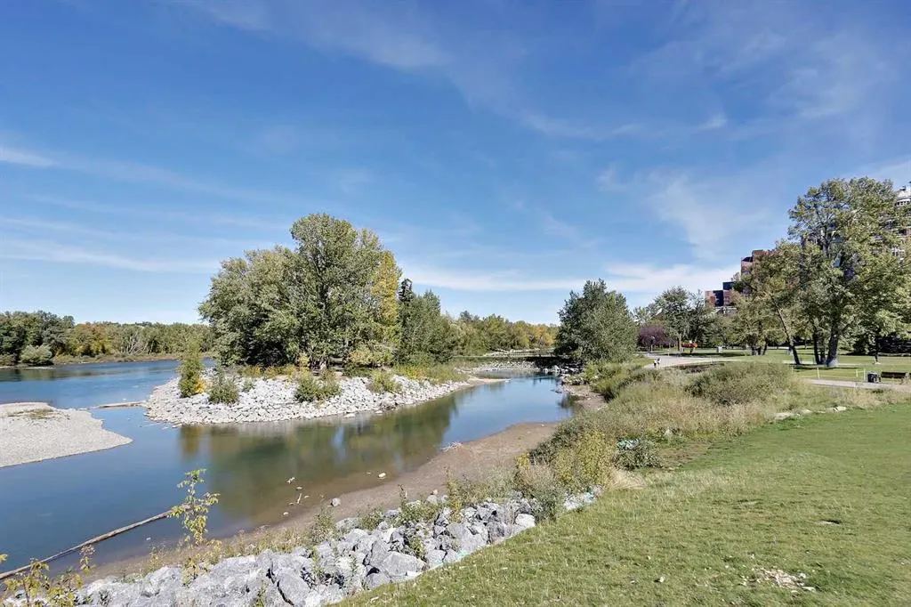 1025 5 Avenue SW, #312