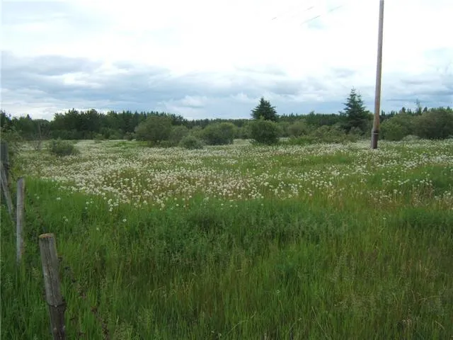 Section 19 TWP 66 Range 13 Meridian 4