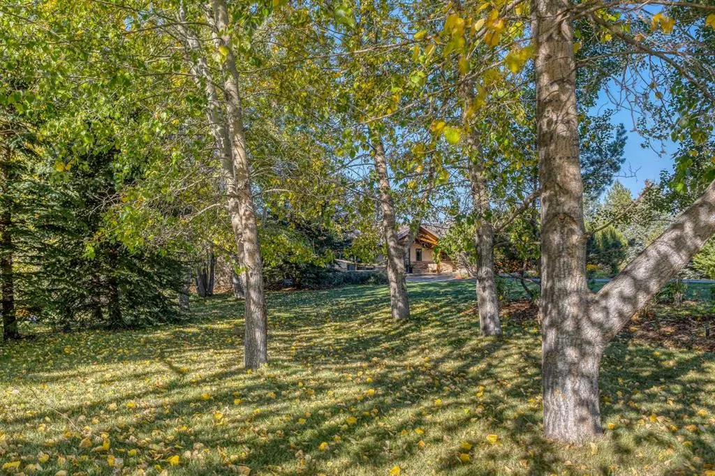 15 Escarpment Park