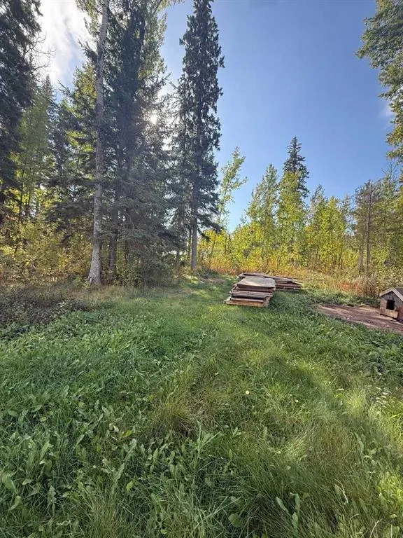 63 Pine Lane Park