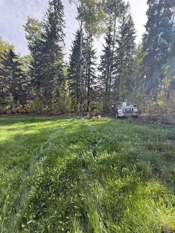 63 Pine Lane Park