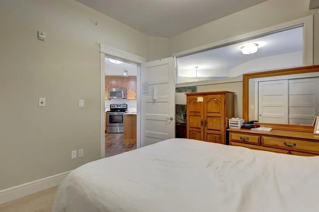 808 Spring Creek Drive, #415