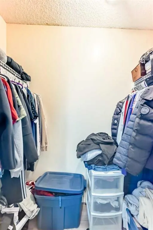 10 Saddlebrook Gardens NE