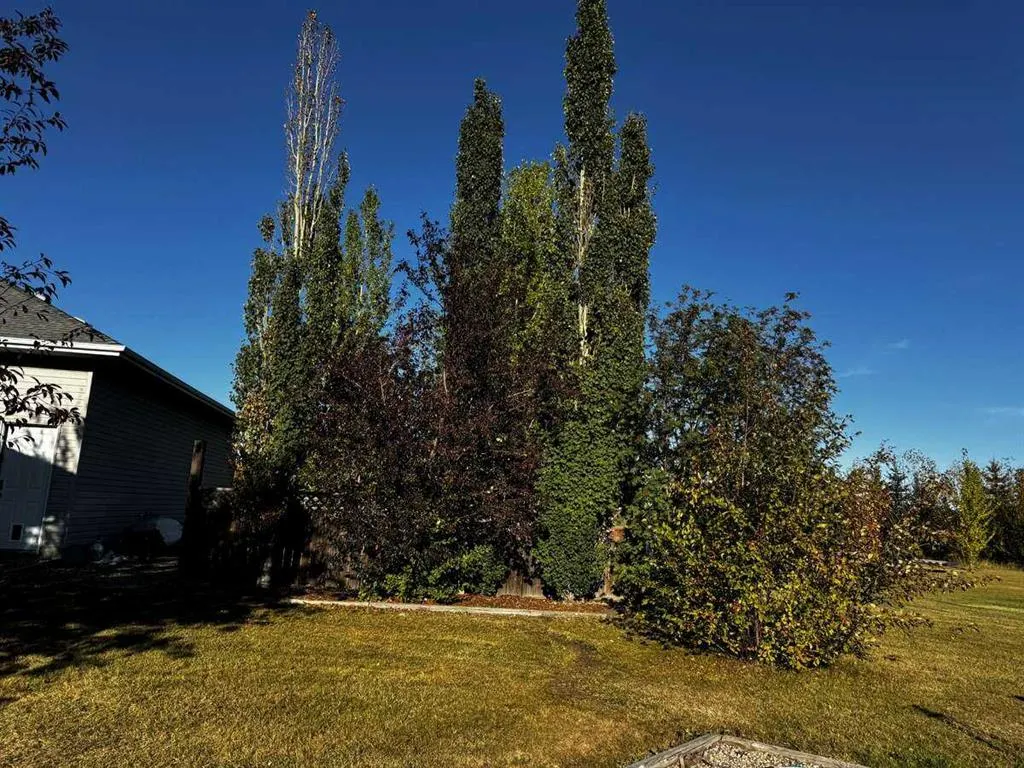 85 Willow Drive