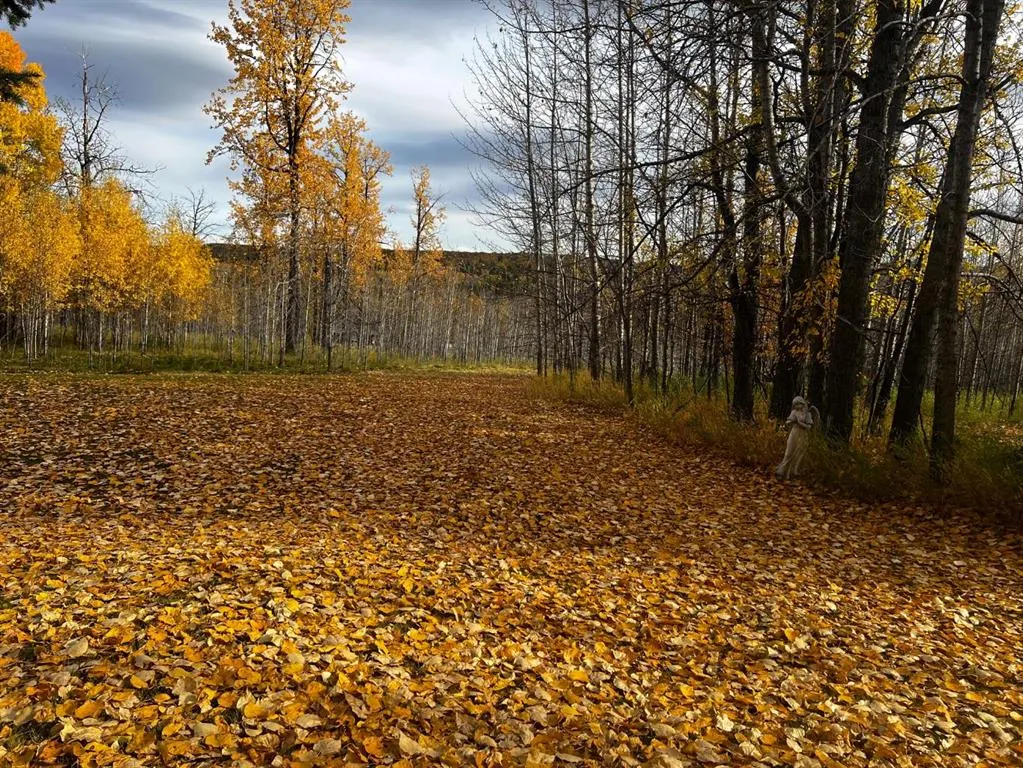 120053 Township Road 584, #Lot 24