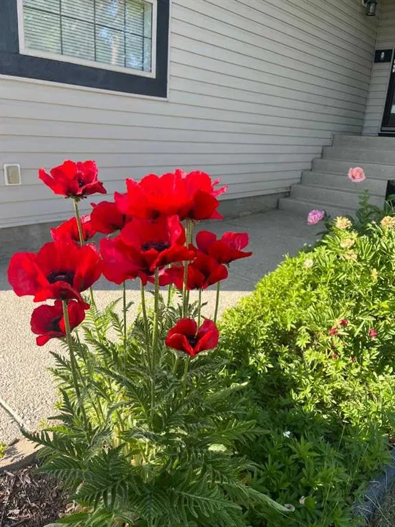 81 Tuscany Ravine Crescent NW