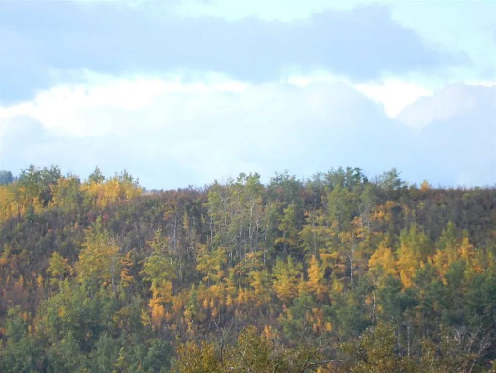 352 Cranbrook Square SE